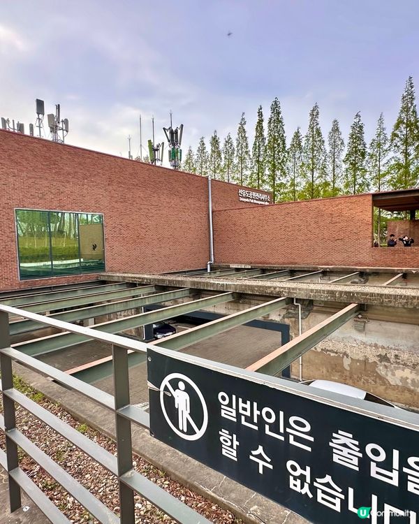 【首爾秘境推介】仙遊島公園｜小島上的秘密叢林＋漢江靚景涼亭！