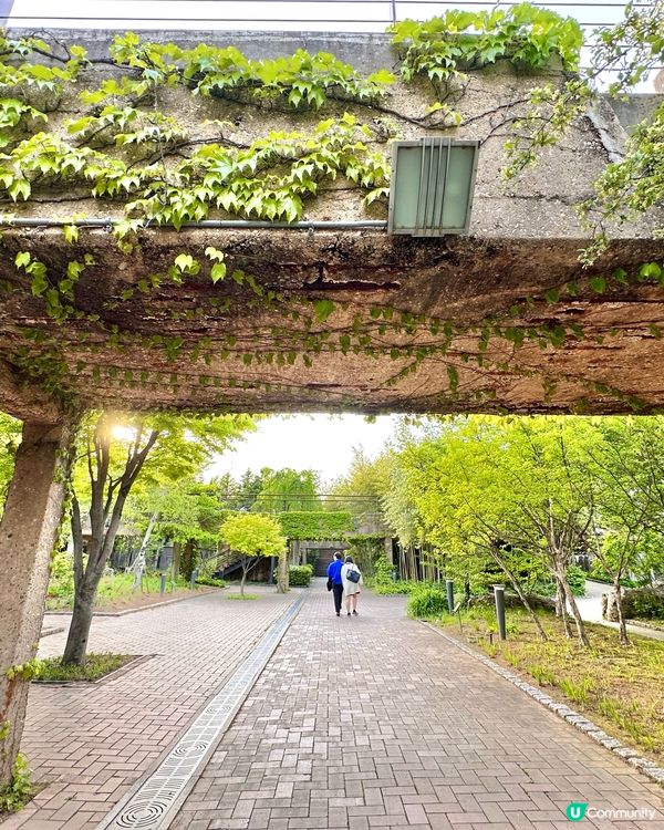 【首爾秘境推介】仙遊島公園｜小島上的秘密叢林＋漢江靚景涼亭！