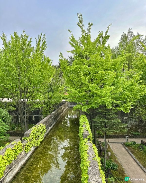 【首爾秘境推介】仙遊島公園｜小島上的秘密叢林＋漢江靚景涼亭！