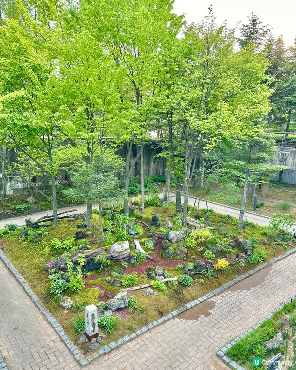 【首爾秘境推介】仙遊島公園｜小島上的秘密叢林＋漢江靚景涼亭！