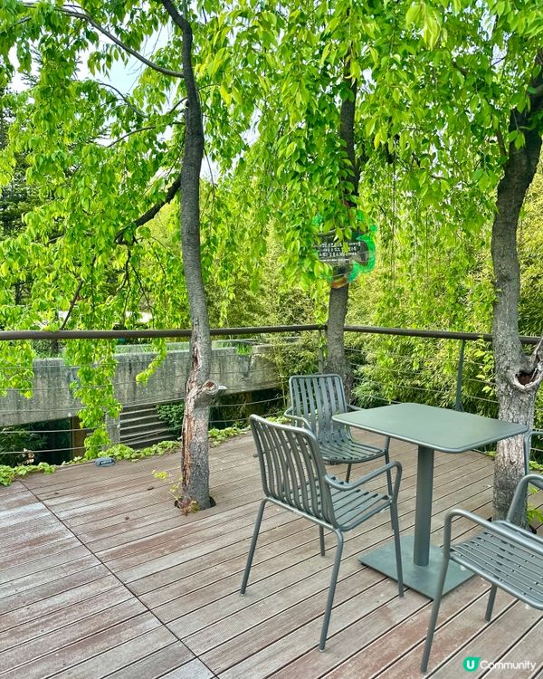 【首爾秘境推介】仙遊島公園｜小島上的秘密叢林＋漢江靚景涼亭！