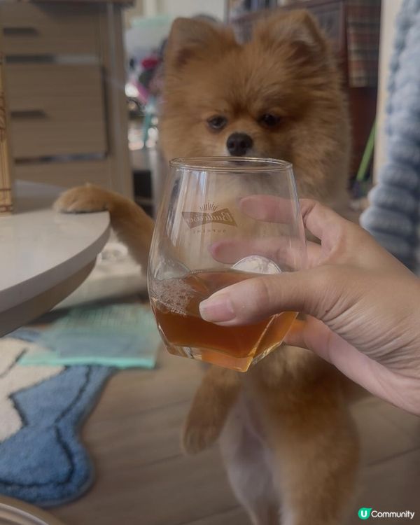 天天一包補充元氣