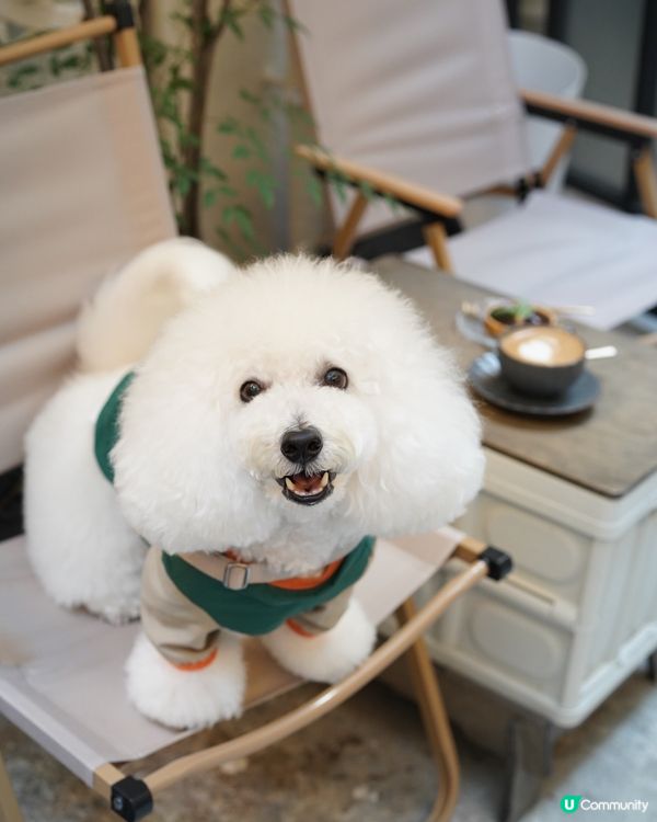 西日戶外風小酒館 毛孩友善 