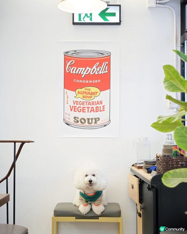 西日戶外風小酒館 毛孩友善 