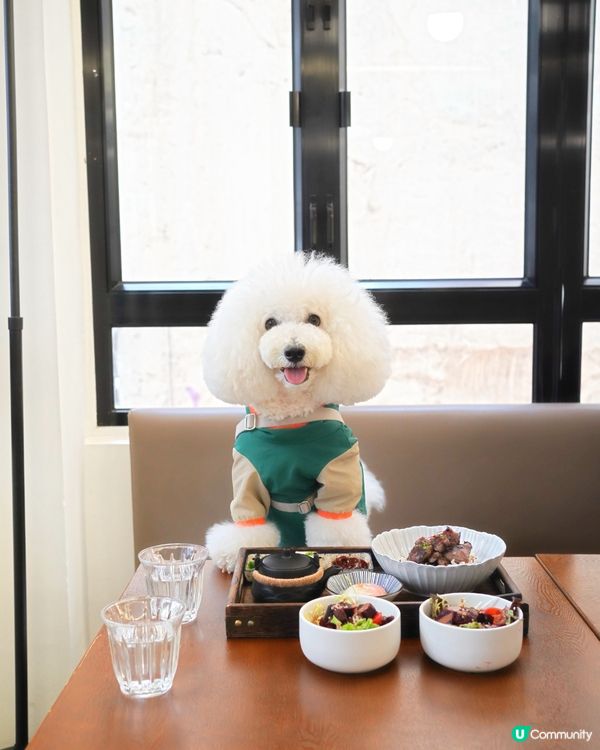 西日戶外風小酒館 毛孩友善 