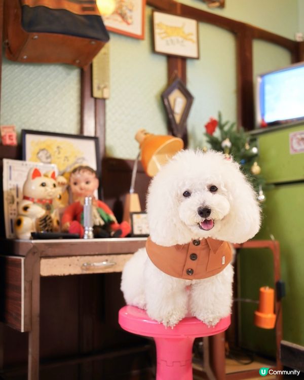 電影美指級佈置 fusion 茶餐廳兼酒館 靚絕旺角 