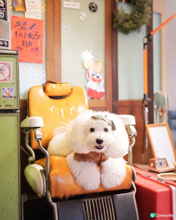 電影美指級佈置 fusion 茶餐廳兼酒館 靚絕旺角 