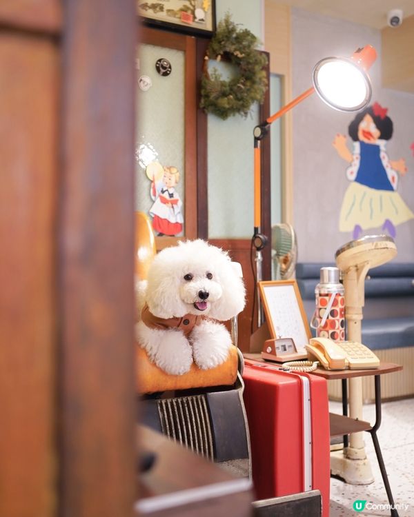 電影美指級佈置 fusion 茶餐廳兼酒館 靚絕旺角 