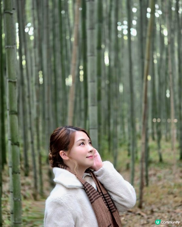 嵐山嘅竹林 係我京都其中一個最愛嘅地方