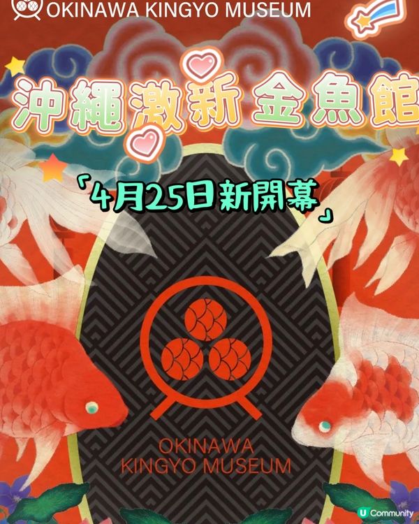 沖繩激新金魚藝術館🥳