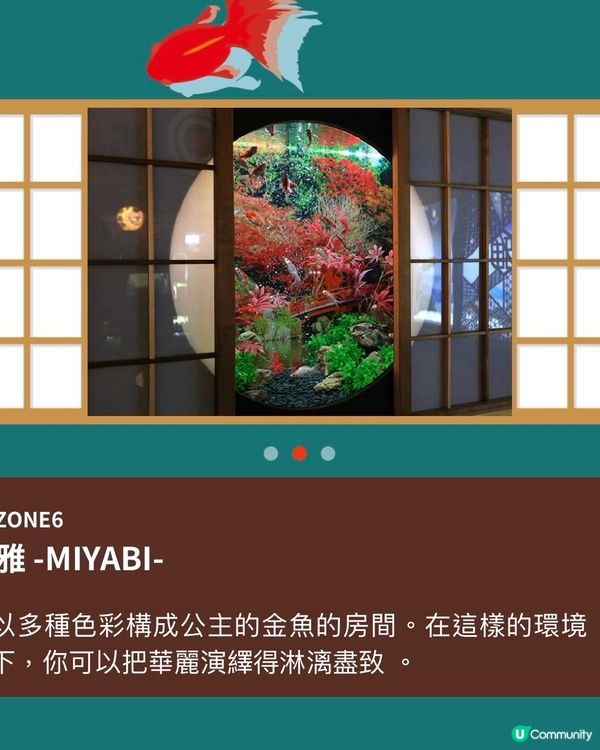 沖繩激新金魚藝術館🥳