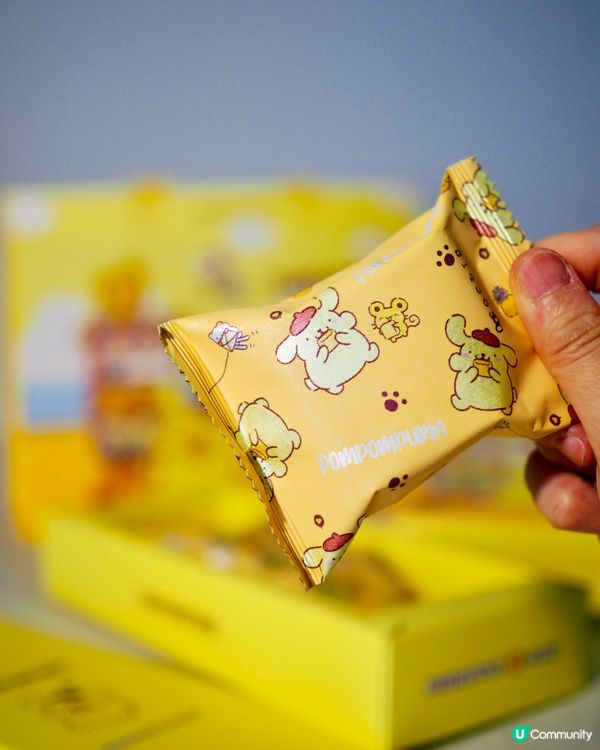 大黑松小倆口𓎏ෆ.ᐟMy Melody 布丁狗限定聯名禮盒