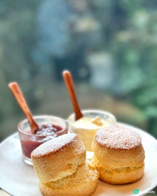 🌸金鐘隱世靚景餐廳下午茶  
🌸期間限定花漾時光，打卡必備！