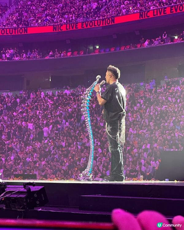 謝霆鋒演唱會尾場企位視角😍