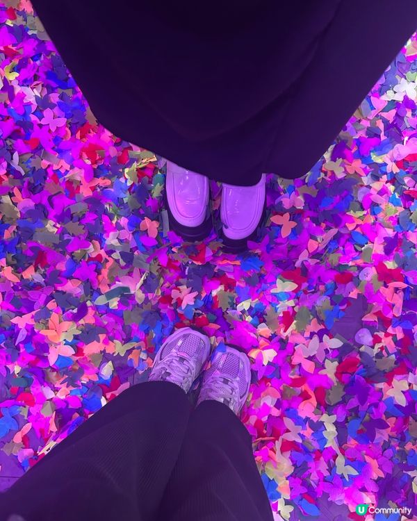 謝霆鋒演唱會尾場企位視角😍