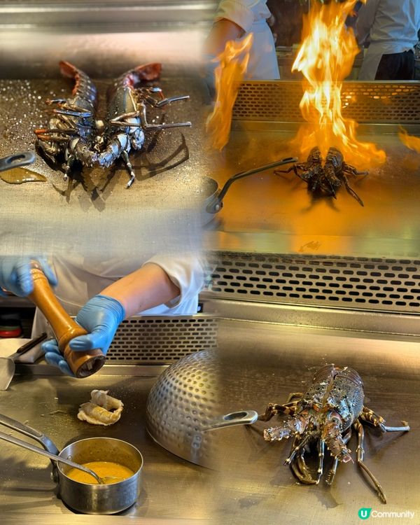 酒店鐵板燒🦞龍蝦🥩安格斯等你食