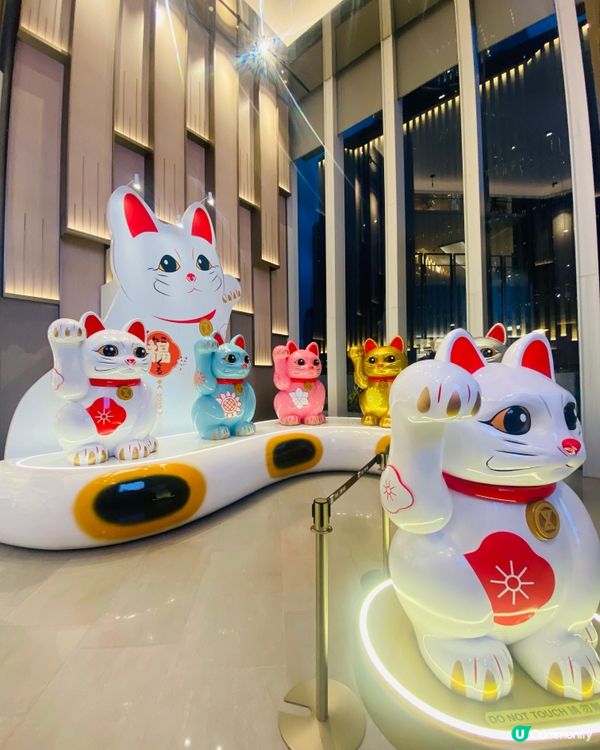 啟德招財貓❤️‍🔥吉祥物💞好大隻