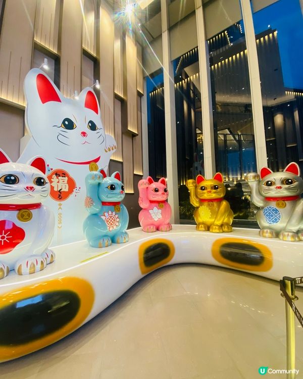 啟德招財貓❤️‍🔥吉祥物💞好大隻