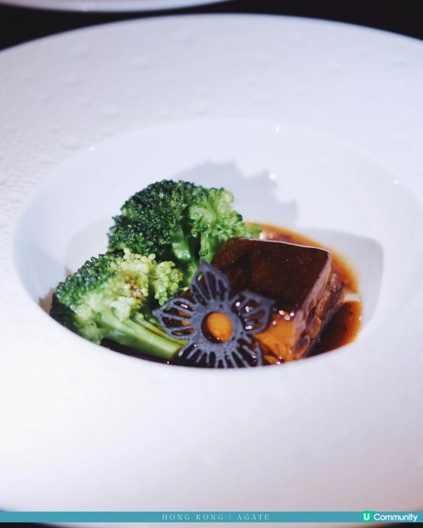 璞🤍在M+看海品創意粵菜