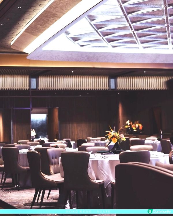 璞🤍在M+看海品創意粵菜