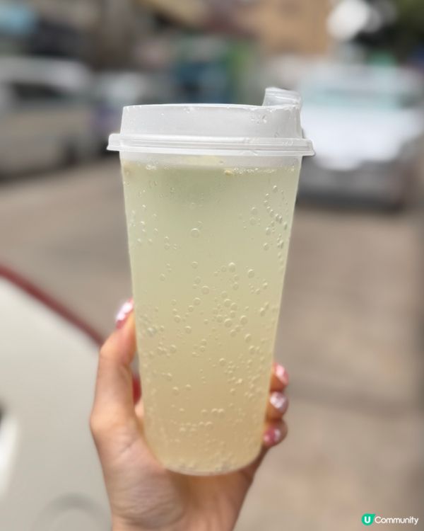 大埔寶鄉街麻甩雞🐔 外賣一流，簡單舒適！😋