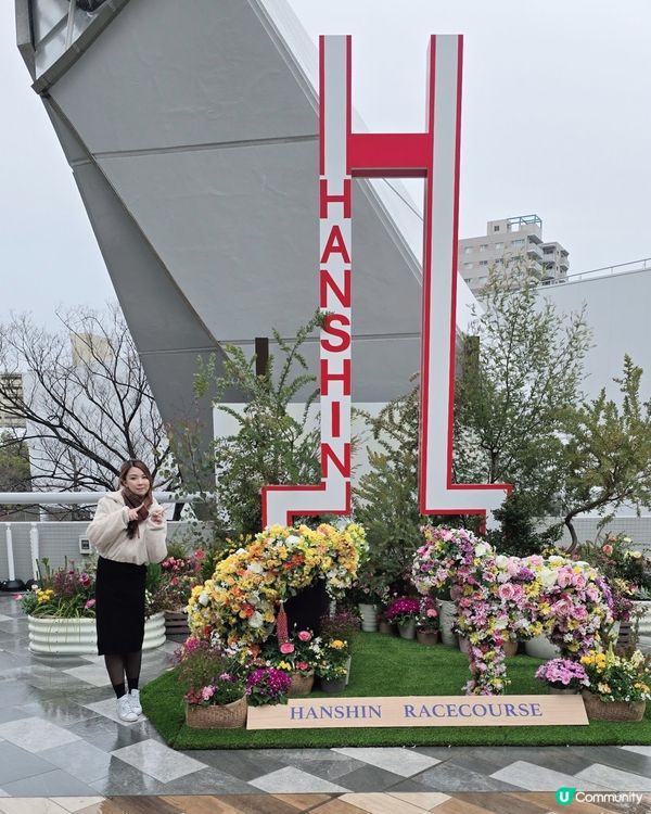 阪神競馬場裝修完🐎3月1正式重開啦～