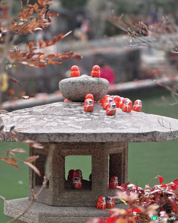 超打卡達摩牆😍