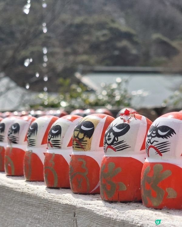 超打卡達摩牆😍