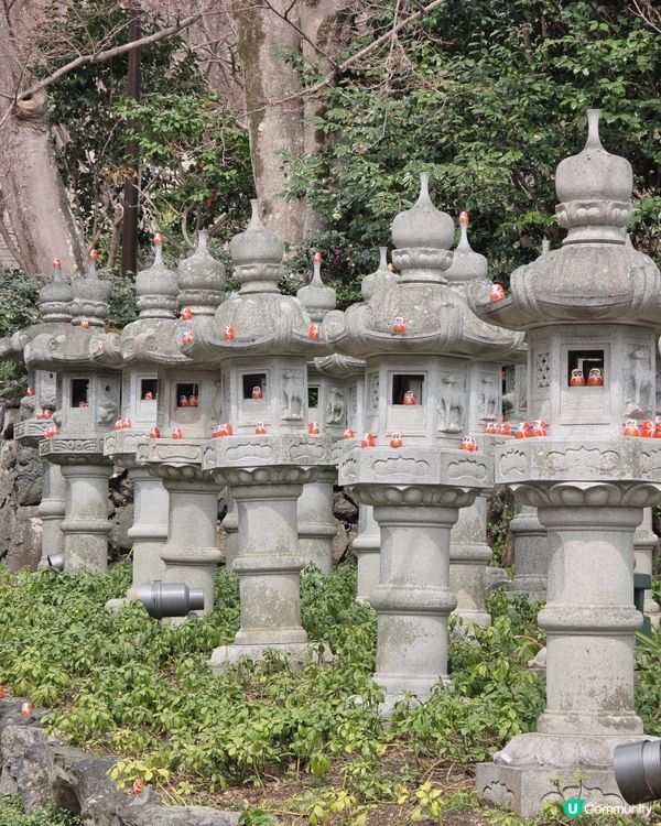 超打卡達摩牆😍