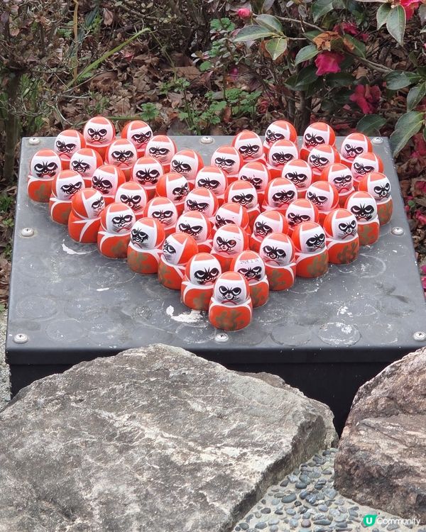 超打卡達摩牆😍