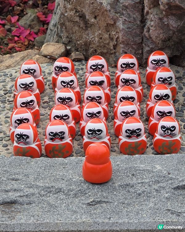 超打卡達摩牆😍