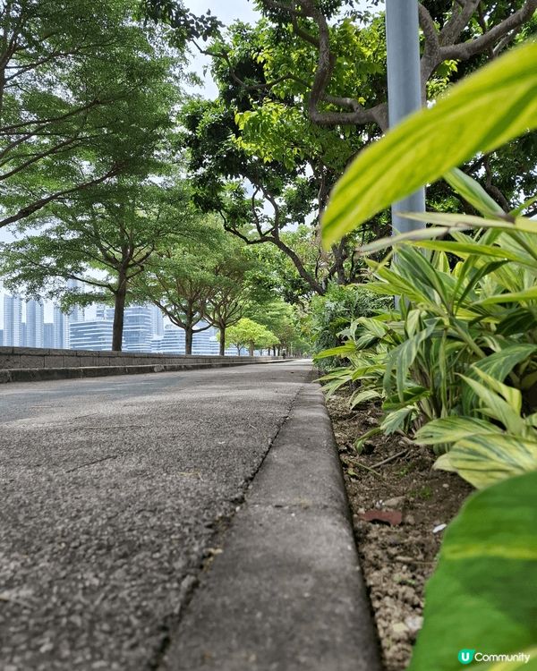 澳門除了繁華的賭場外,也有寧靜的自然生態,欣賞各種花花草草洗...