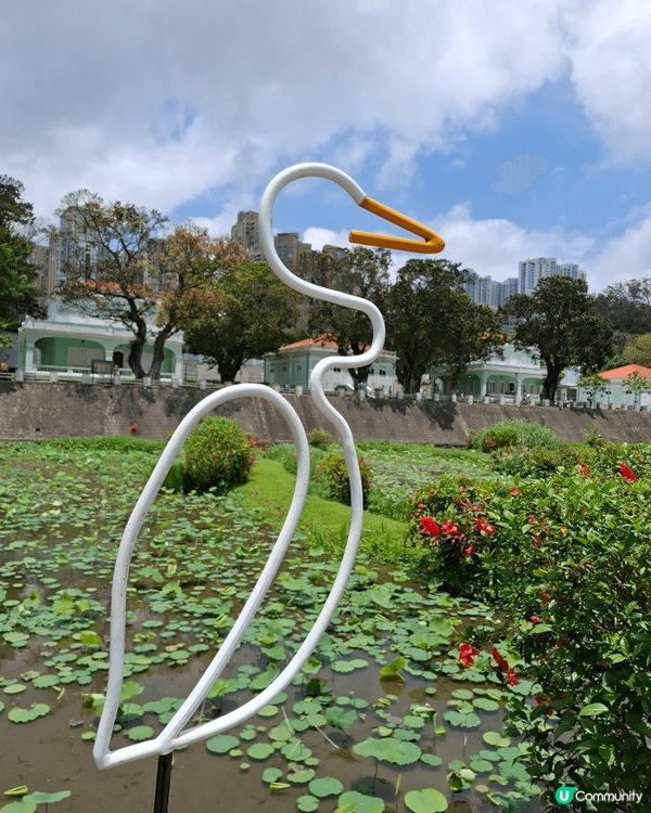 澳門除了繁華的賭場外,也有寧靜的自然生態,欣賞各種花花草草洗...