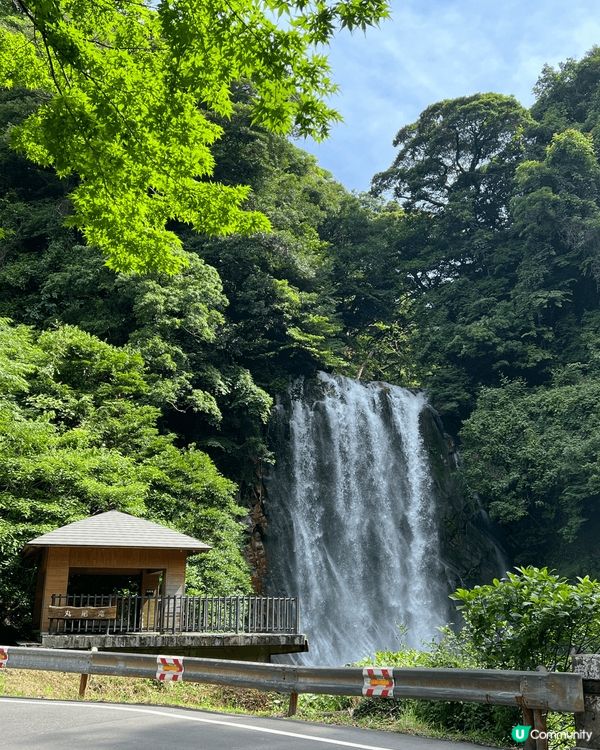 自駕遊鹿兒島，感受人傑地靈嘅治癒之旅。入住星野界霧島，環抱綠...