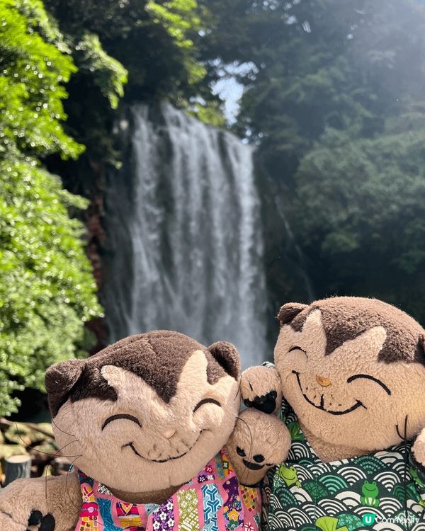 自駕遊鹿兒島，感受人傑地靈嘅治癒之旅。入住星野界霧島，環抱綠...