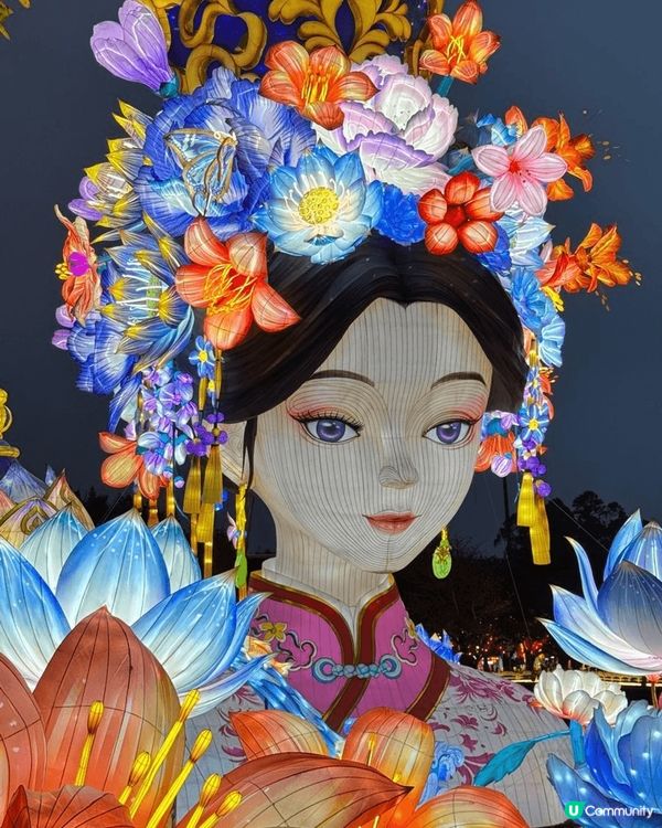 粤港澳大湾區燈會，會場好大，行得很倦，但都是值得的。