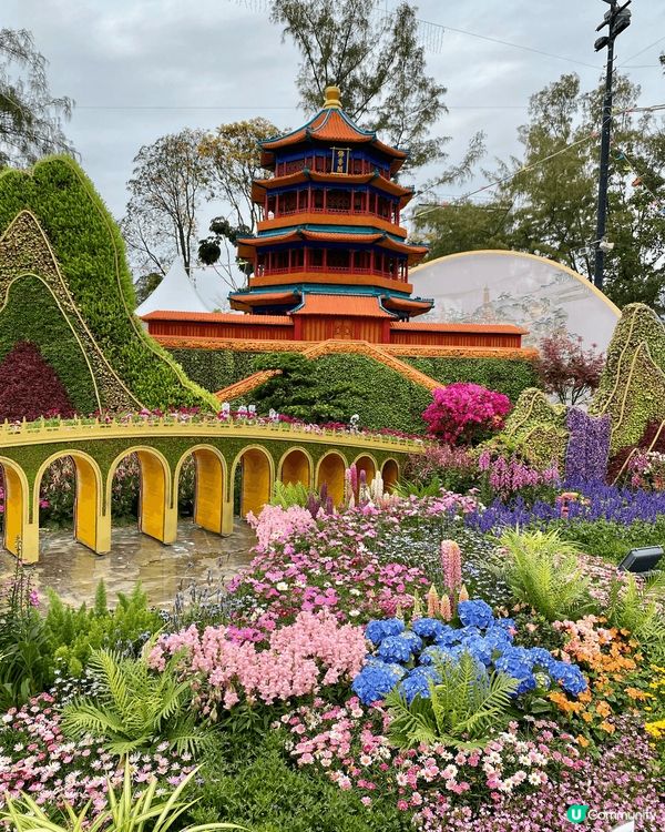一年一度的維園花展，不能錯過的節目
