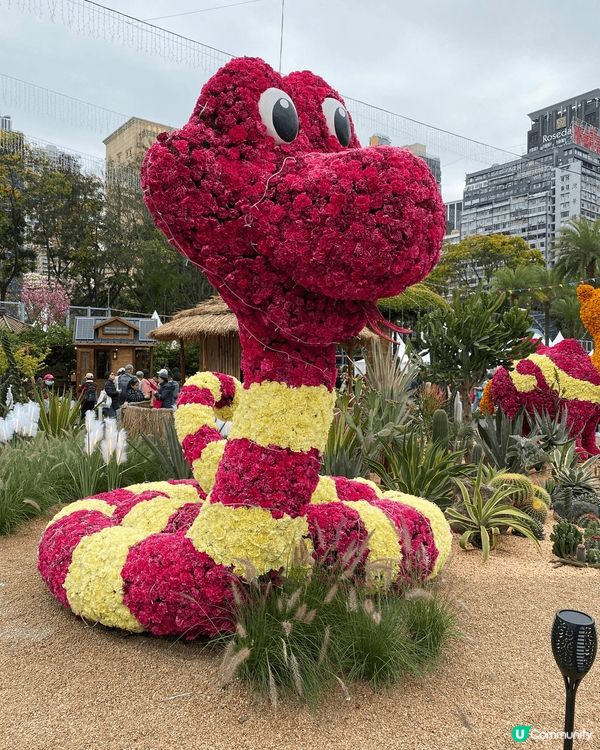 一年一度的維園花展，不能錯過的節目