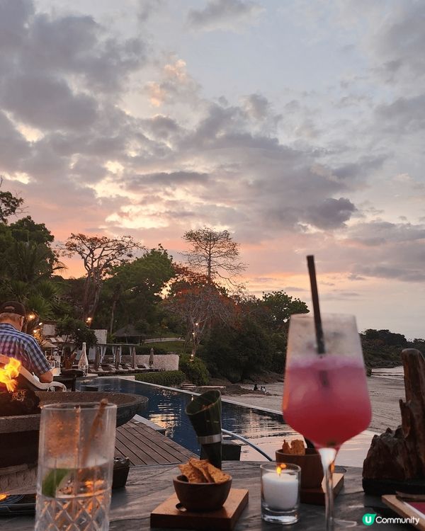 1. Palmier by Guillaume Gallio...