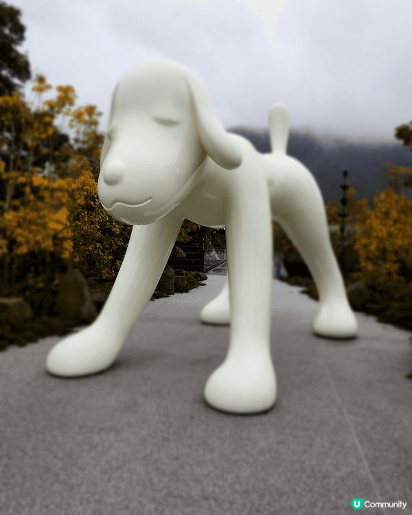 1. Palmier by Guillaume Gallio...