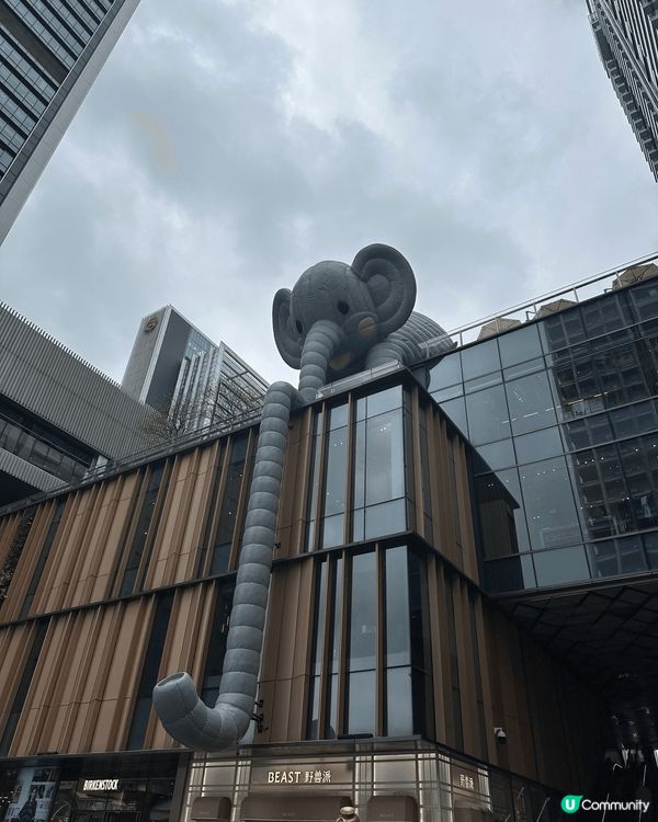 假期時去了深圳萬象城試了米芝蓮級別的素食餐廳（慶春撲門），十...