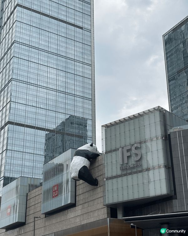 **复活节成都五日游小记**  