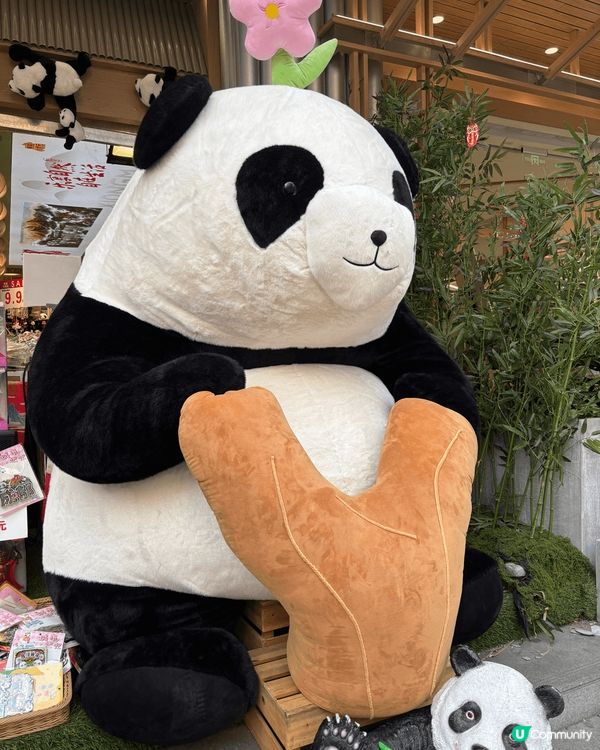 **复活节成都五日游小记**  