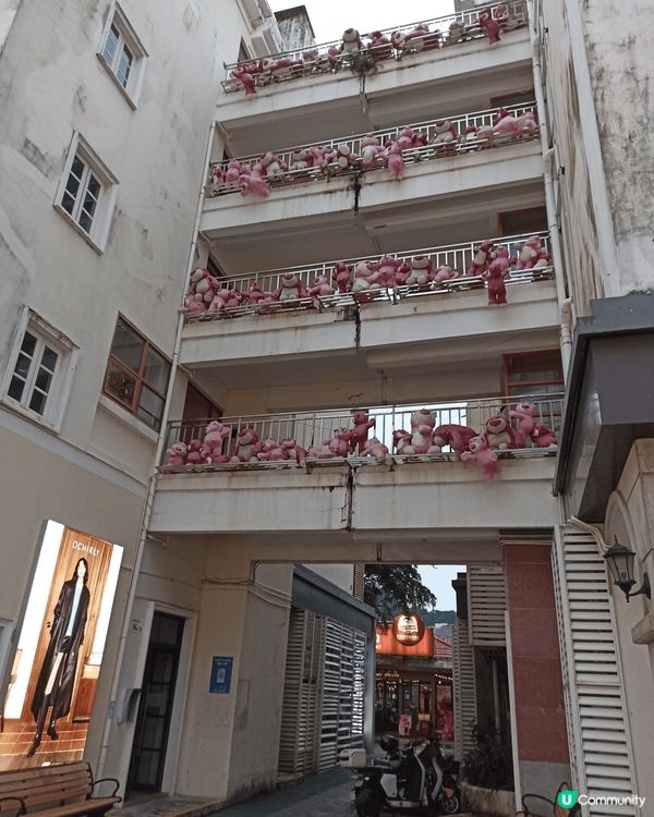 這裏是深圳大梅沙，有許多特別的景色同景物可以欣賞，非常適合一...