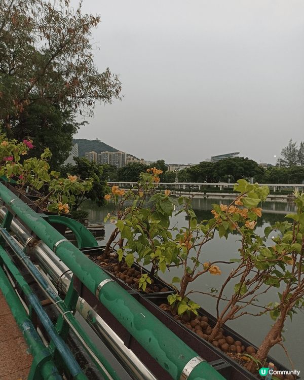 這裏是深圳大梅沙，有許多特別的景色同景物可以欣賞，非常適合一...