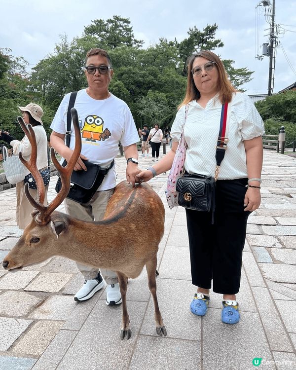 第一次去日本旅行覺得興奮