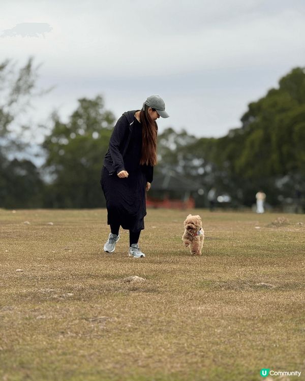 每個禮拜都會帶住愛犬遊山玩水周圍去玩，
