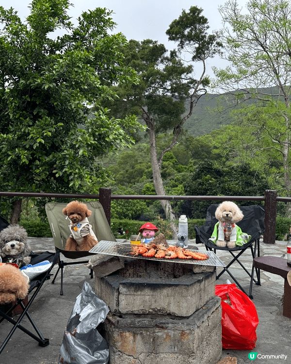 每個禮拜都會帶住愛犬遊山玩水周圍去玩，
