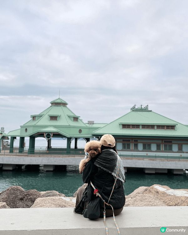 每個禮拜都會帶住愛犬遊山玩水周圍去玩，
