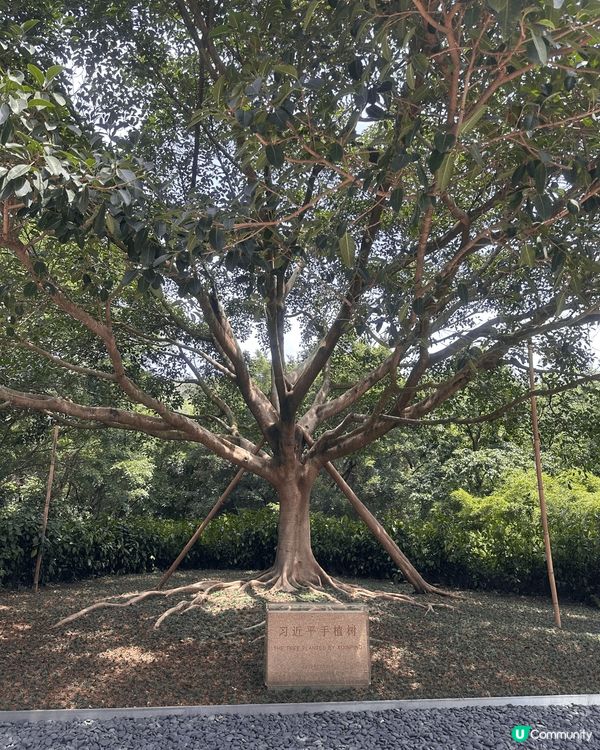 深圳蓮花山公園，鄰近福田口岸，是深圳遊必到之處。公園免費開放...